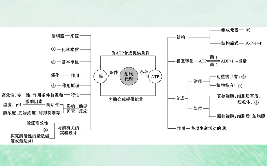 高考生物二轮复习专题二细胞代谢的两类重要物质酶和ATP课件.pptx_第1页