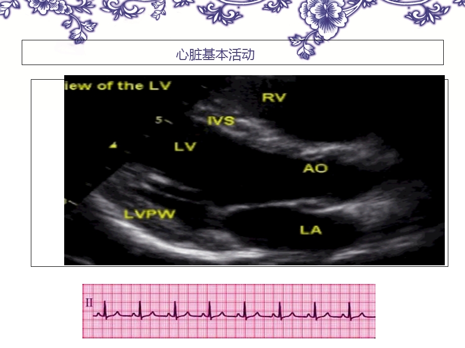 心脏基本活动及基础课件文档资料.ppt_第1页