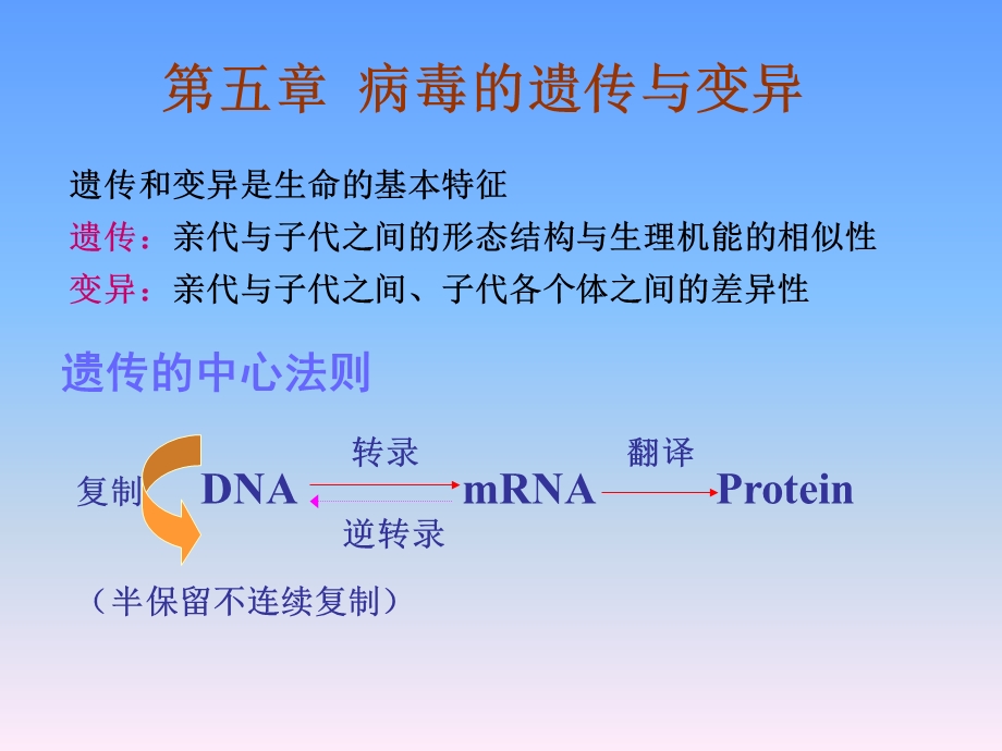 5病毒的遗传与变异精选文档.ppt_第1页