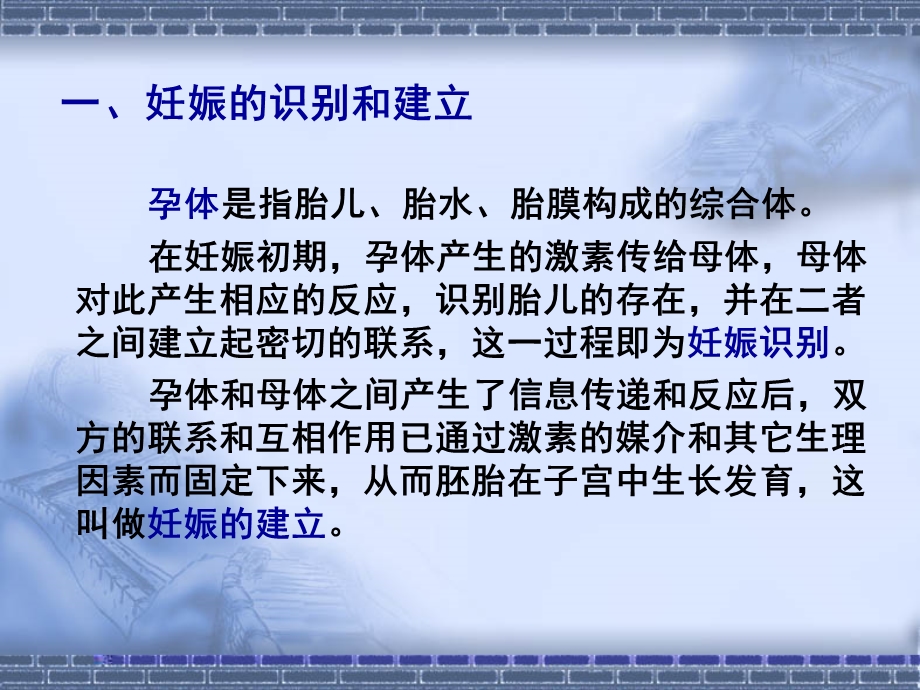 妊娠与分娩5747PPT文档.ppt_第2页