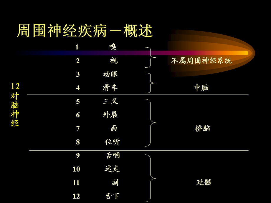 周围神经系统疾病文档资料.ppt_第3页