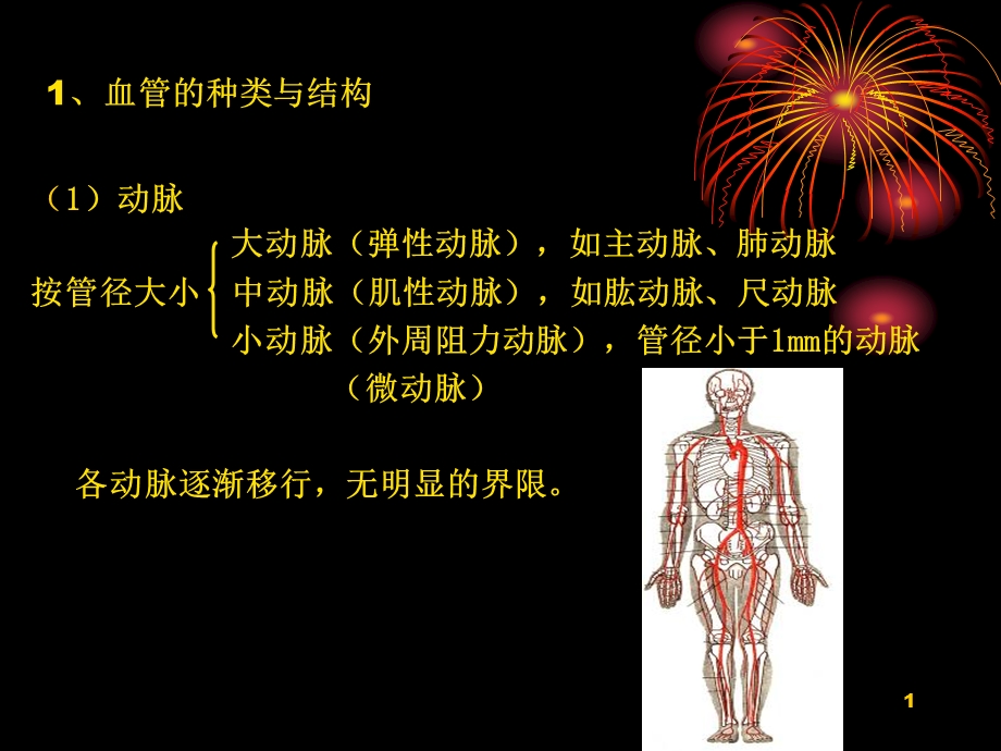 最新：人体动静脉文档资料.ppt_第1页