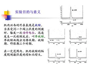 课件2肌肉神经52808839文档资料.ppt