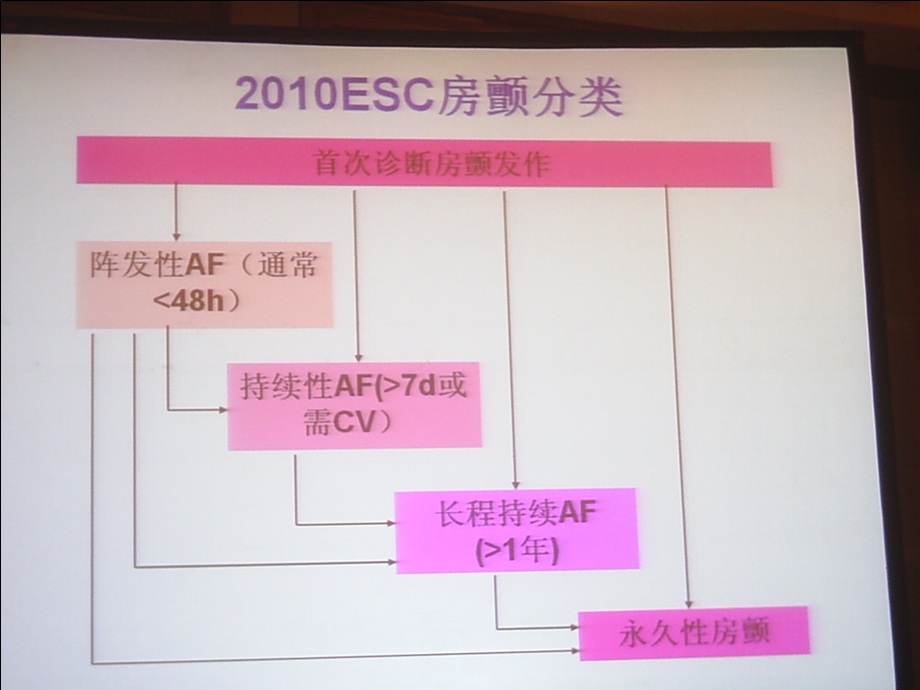 欧美心房颤动南评述精选文档.ppt_第1页