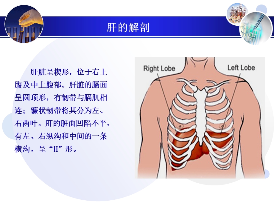 最新肝超声诊断PPT课件PPT文档.ppt_第2页