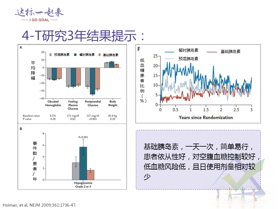 基础胰岛素治疗的方案优化技巧文档资料.ppt_第3页