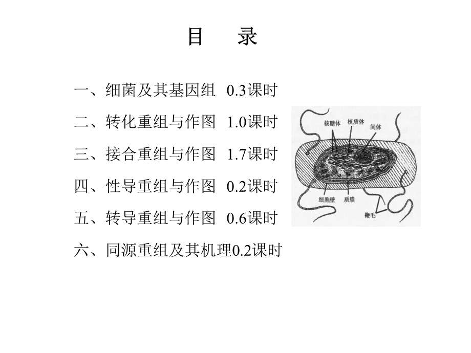 7细菌遗传4课时PPT文档资料.ppt_第1页