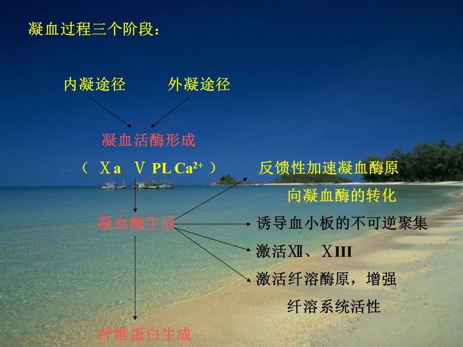 病理生理学9弥散性血管内凝血文档资料.ppt_第2页