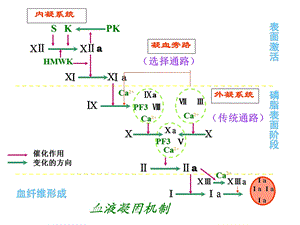 病理生理学9弥散性血管内凝血文档资料.ppt