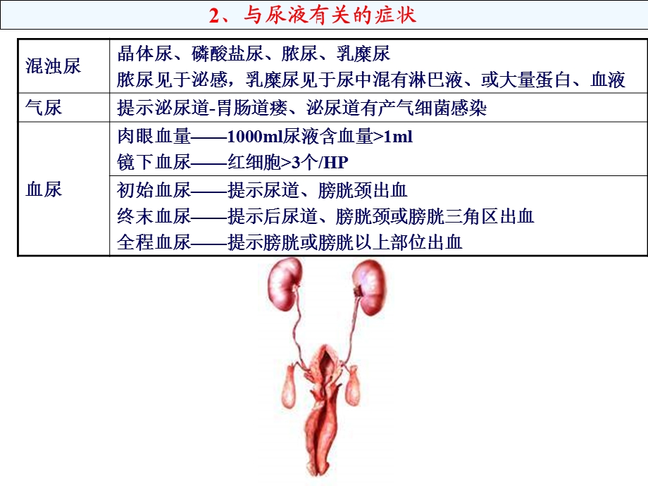 考研西医综合冲刺.ppt_第3页