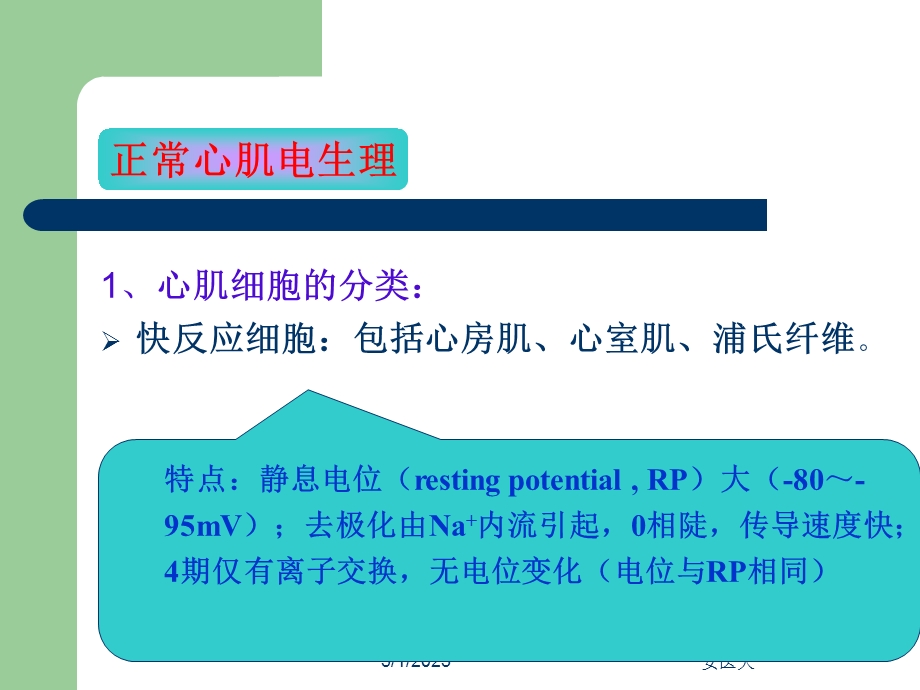 第20章 心律失常的临床用药PPT文档.ppt_第2页