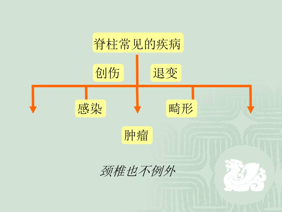 最新：颈椎常见疾病的诊断与治疗文档资料.ppt_第1页