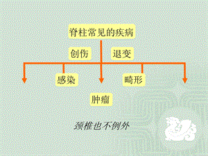 最新：颈椎常见疾病的诊断与治疗文档资料.ppt