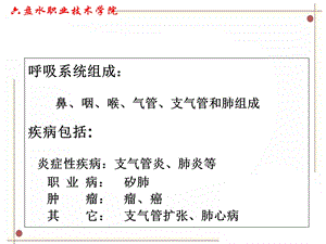 呼吸系统疾病文档资料.ppt