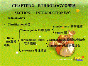 最新QIN关节,肌学PPT文档.ppt