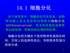 最新第14章细胞分化与基因表达调控PPT文档.ppt