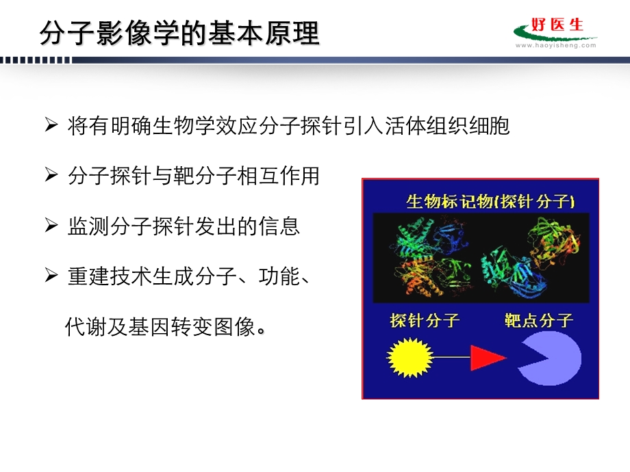 最新心血管核医学分子影像进展PPT文档.ppt_第3页