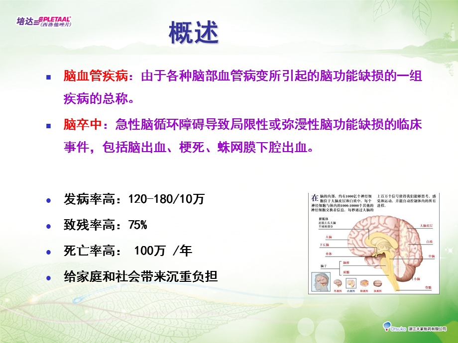 [临床医学]脑血管疾病知识.ppt_第2页