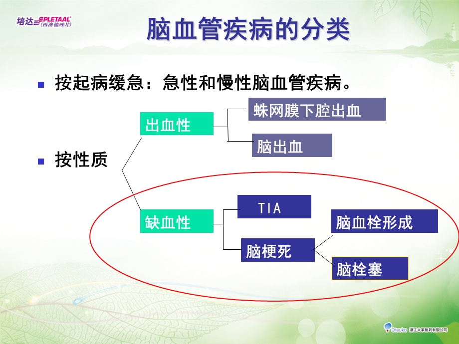 [临床医学]脑血管疾病知识.ppt_第3页