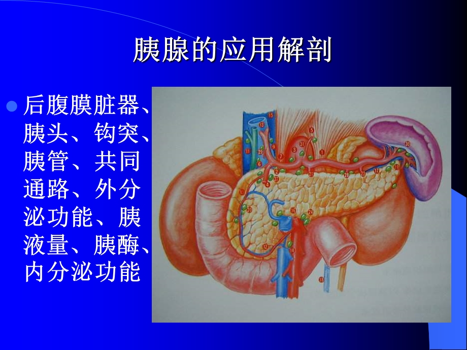 急性胰腺炎精选文档.ppt_第2页