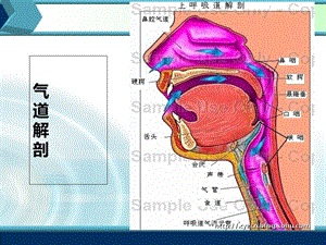 最新气道阻急救PPT文档.ppt