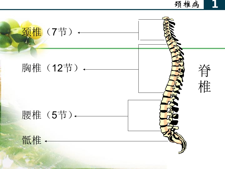 最新：办公室常见病与健康文档资料.ppt_第2页