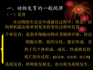 最新：生物技术专业03多细胞动物的胚胎发育文档资料.ppt