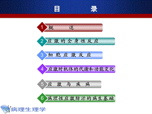 最新：病理生理学9应激文档资料.ppt