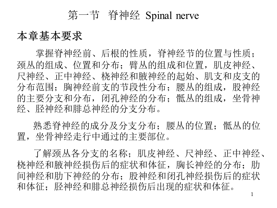 人体解剖学脊神经PPT文档资料.ppt_第1页