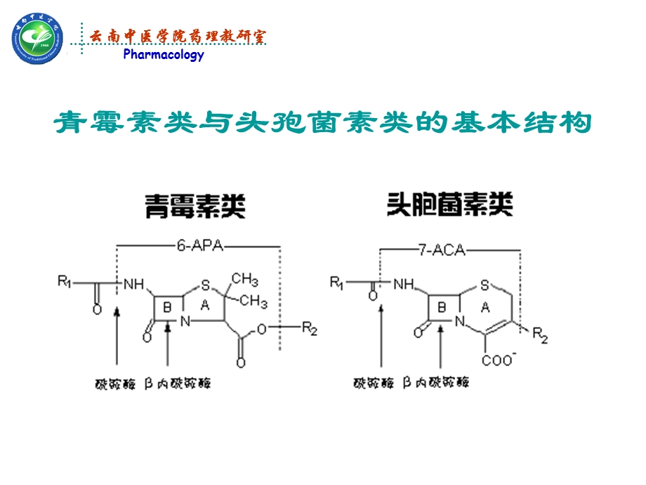 最新β－内酰胺类抗生药理学课件PPT文档.ppt_第3页