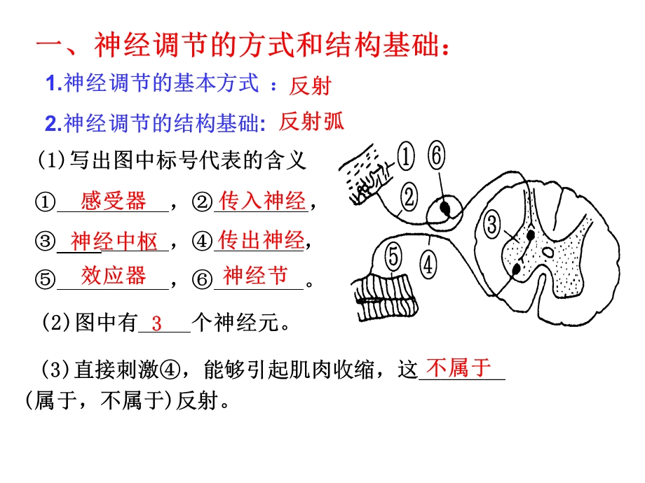 821通过神经系统的调节人教版PPT文档.ppt_第2页