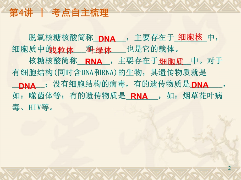 最新第4讲细胞中的核酸、糖类和脂质PPT文档.ppt_第2页