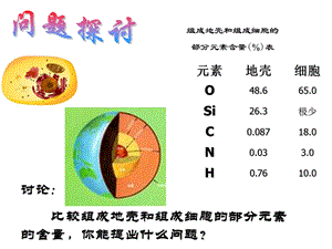 最新最新：12组成细胞的分子授课用文档资料PPT文档.ppt