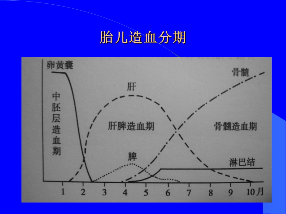 新生儿贫血与输血疗法文档资料.ppt_第3页