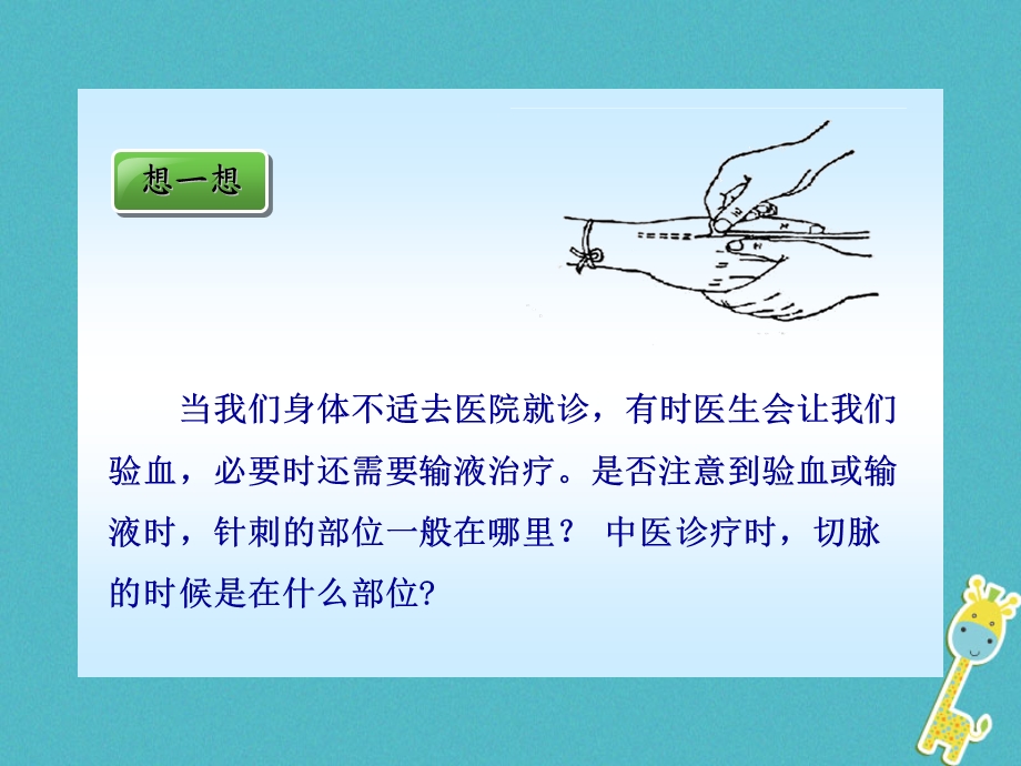 吉林省七年级生物下册4.4.2血流的管道血管课件新版新人教版.pptx_第1页