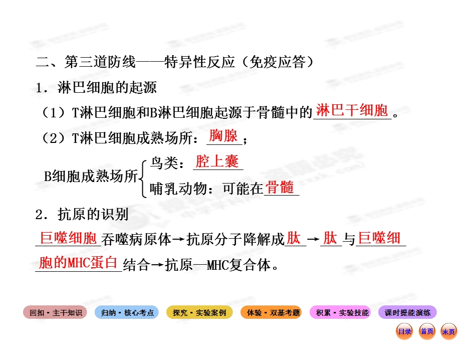 高中生物全程复习方略配套课件浙科版浙江专用：必修三 第三章 免疫系统与免疫功能.ppt_第3页
