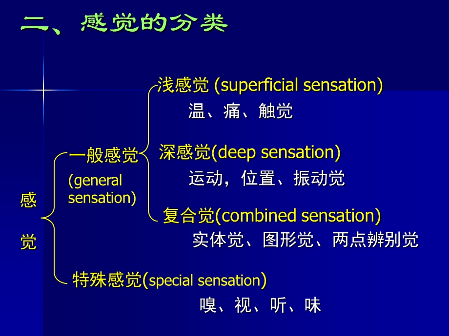 神经系的解剖生理及病损的定位诊断PPT文档.ppt_第3页