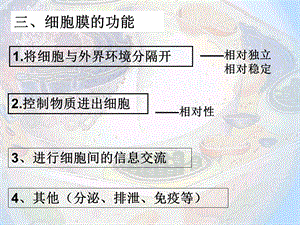 32细胞器——系统内的分工合作1文档资料.ppt