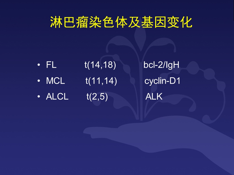 B细胞淋巴瘤诊疗规范PPT文档资料.ppt_第2页