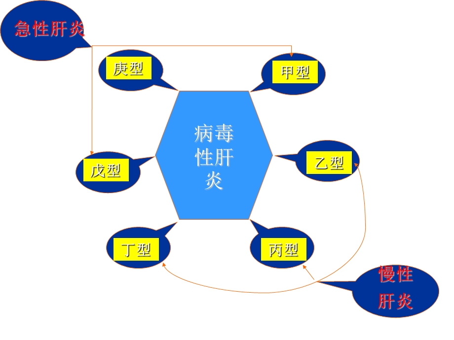 病毒性肝炎的护理与治疗精选文档.ppt_第3页