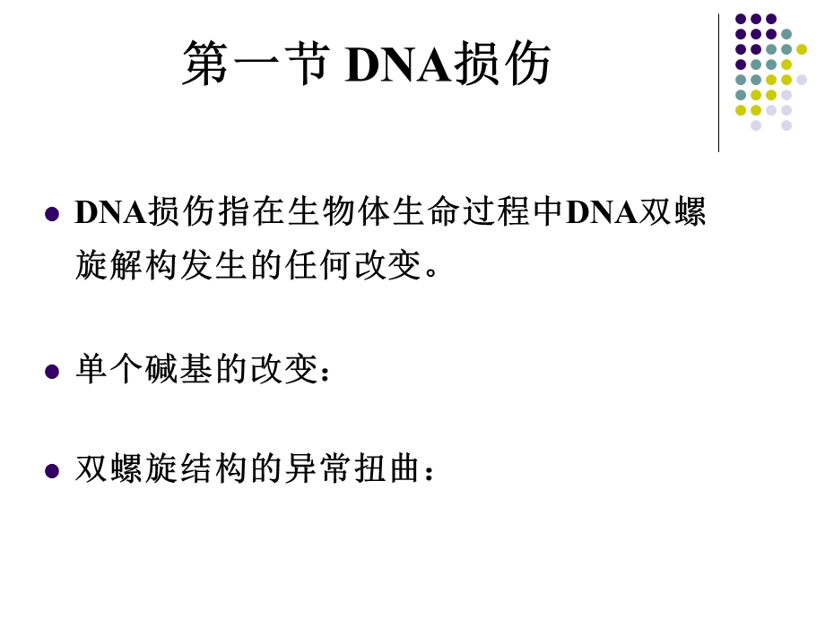 第五章DNA的损伤修复与基因突变文档资料.ppt_第3页