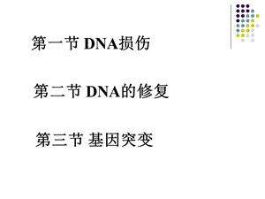 第五章DNA的损伤修复与基因突变文档资料.ppt