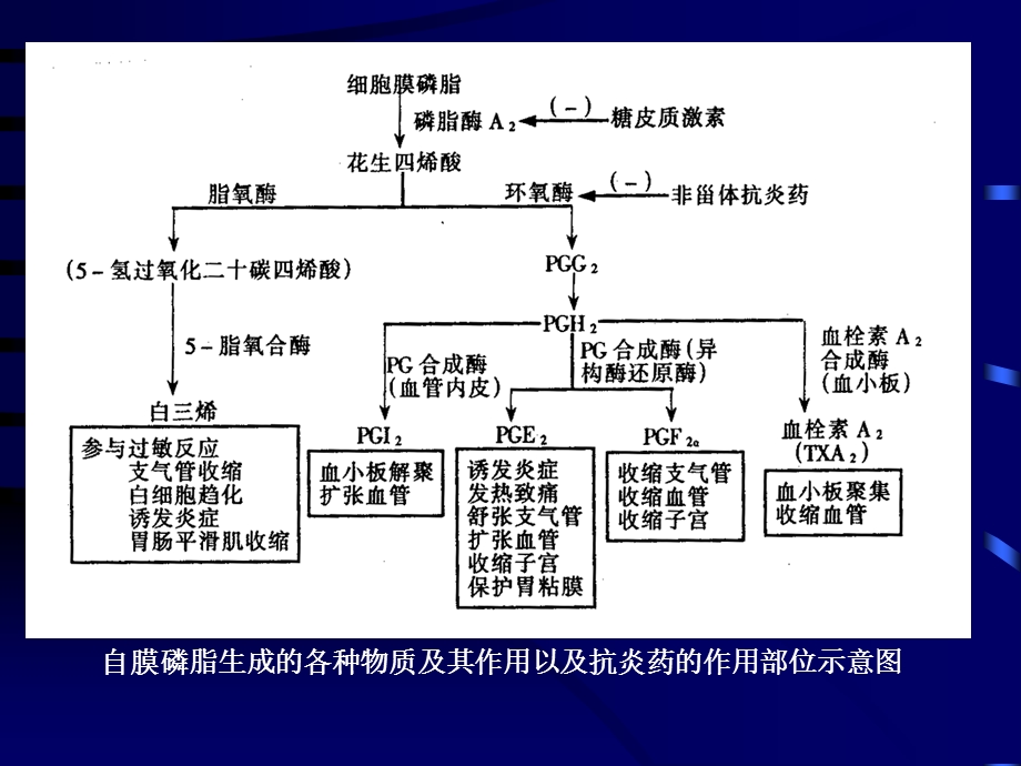 第18章 解热镇痛抗炎药文档资料.ppt_第2页