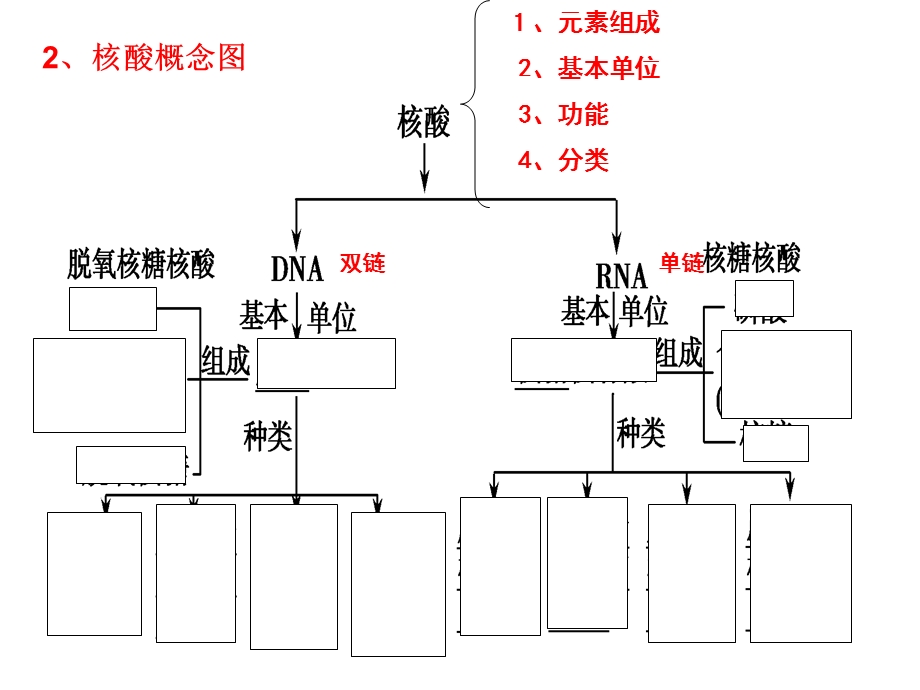 必修一第一单元第4讲遗传信息的携带者——核酸细胞中的糖类和脂质PPT课件.ppt_第2页