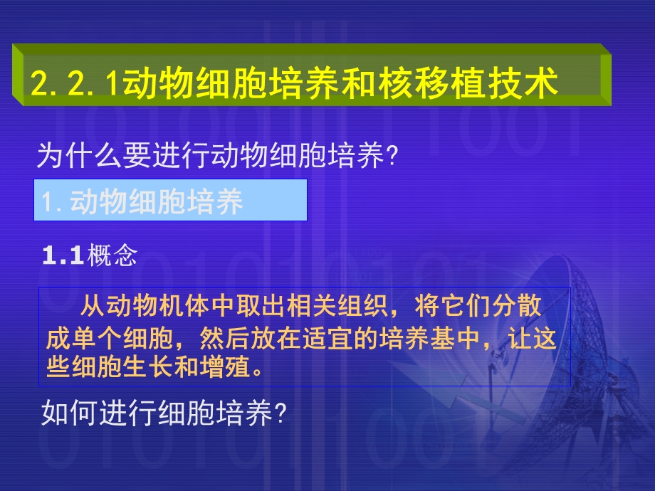 植物细胞工程与动物细胞工程的比较PPT课件.ppt_第2页