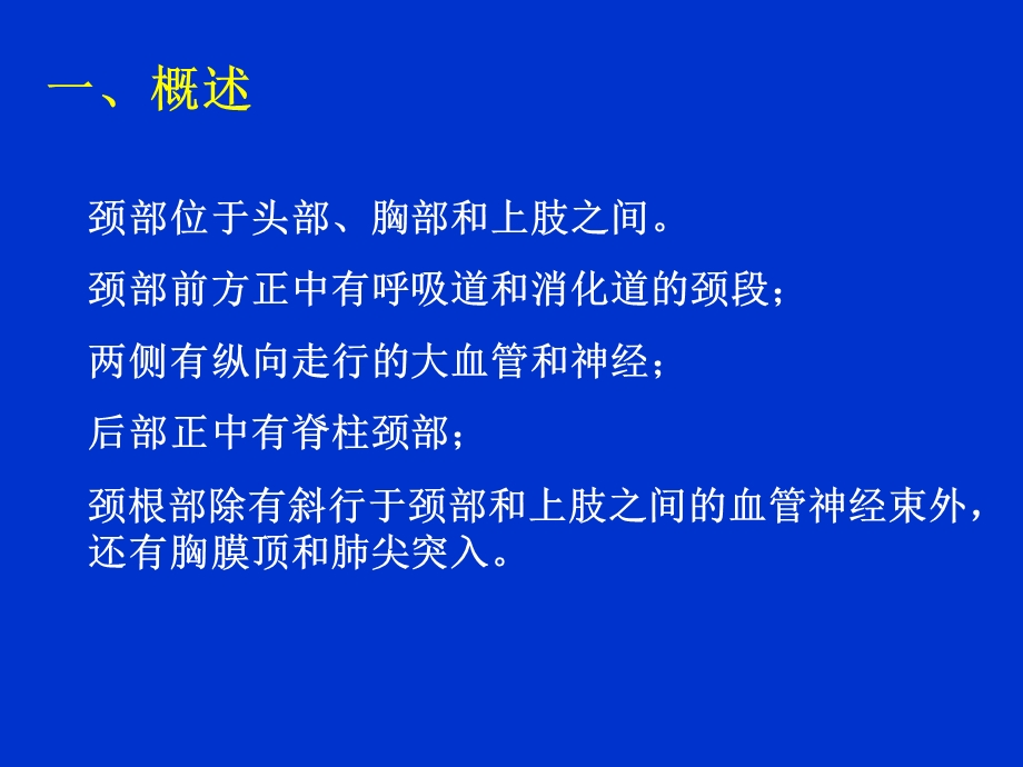 最新颈部浅层结构PPT文档.ppt_第1页