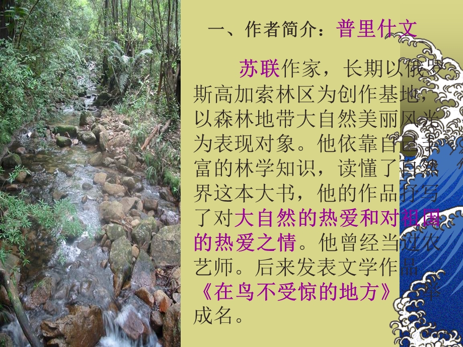 初三语文课件林中小溪.ppt_第2页