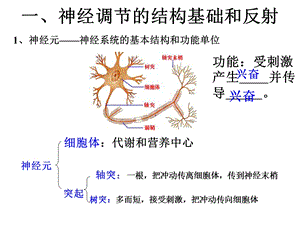 人教版教学课件第2章第1节神经调节复习精选文档.ppt