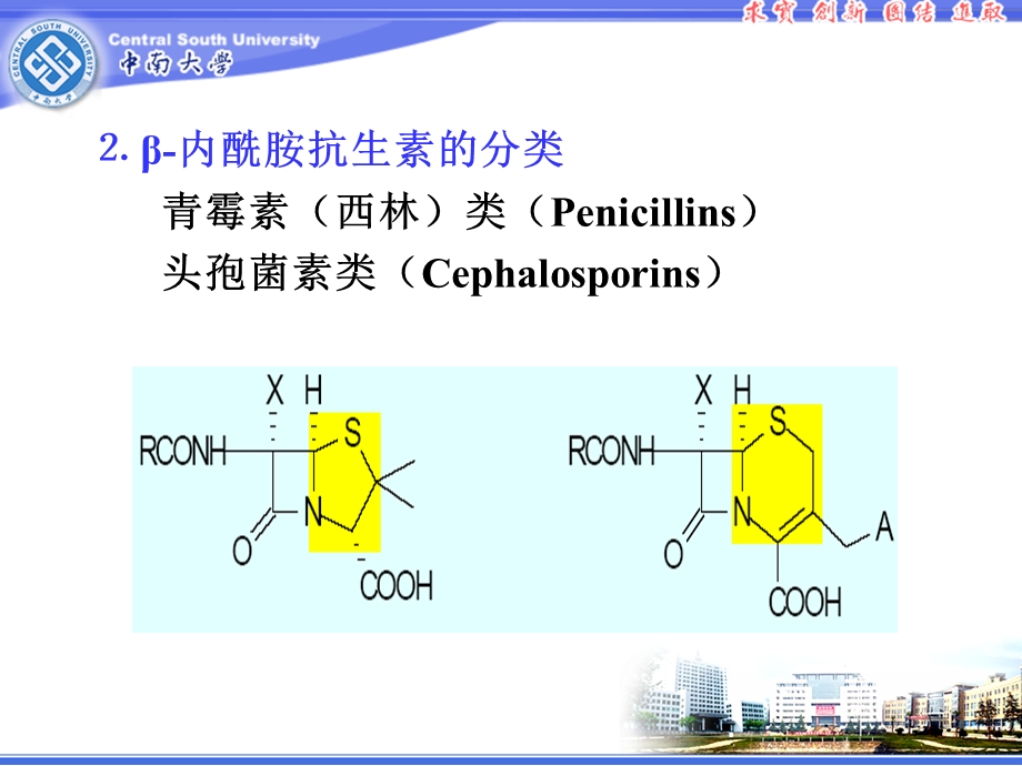 抗生素类药物的分析精选文档.ppt_第3页