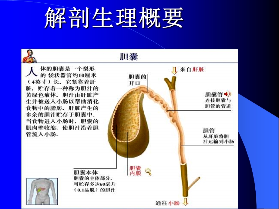 胆道疾病1文档资料.ppt_第1页